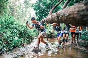 BIB: 
                            <button type="button" onclick="openModal(25372080)" class="btn btn-primary btn-sm float-right btn-popup" data-toggle="modal" data-target=".modal-high-quality">
                        <i class="fas fa-shopping-cart"></i> Add to Cart
                    </button>
                                            <button type="button" onclick="isThisMe(25372080, true)" class="btn btn-success btn-sm float-right btn-popup btn-isme hidden" data-toggle="tooltip" data-placement="bottom" title="นี่คือรูปของคุณใช่ไหม คลิกที่นี่เพื่อเอาเข้าอัลบั้ม">
                        <i class="fas fa-plus"></i> Add to album
                    </button>
                    <button type="button" onclick="isThisMe(25372080, false)" class="btn btn-warning btn-sm float-right btn-popup btn-isnotme hidden">
                        <i class="fas fa-ban"></i> Remove from album
                    </button>